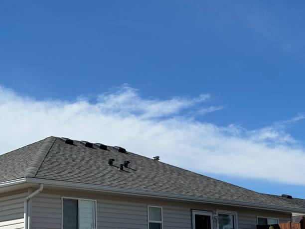 Professional Roofing Service  in Congress, AZ